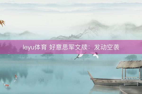 leyu体育 好意思军文牍：发动空袭