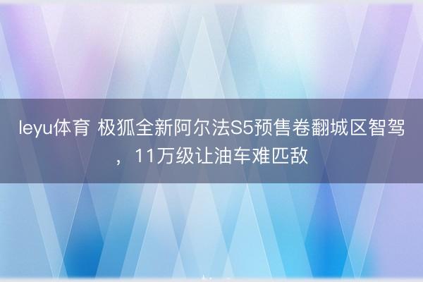 leyu体育 极狐全新阿尔法S5预售卷翻城区智驾，11万级让油车难匹敌